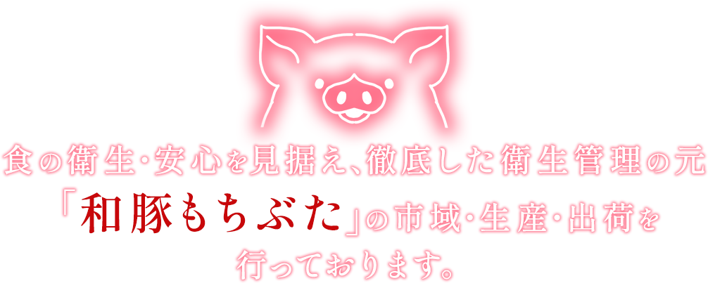 食の衛生・安心を見据え、徹底した衛生管理の元「和豚もちぶた」の市域・生産・出荷を行っております。